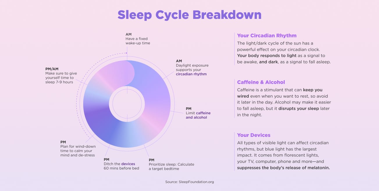 Sleep Cycle Breakdown