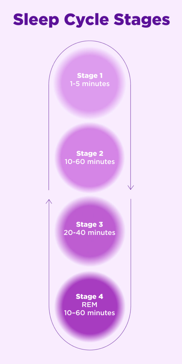 Sleep Cycle stages. Stage 1 is 1-5 minutes, Stage 2 is 10-60 minutes, Stage 3 20-40 minutes, and Stage 4 REM is 10-60 minutes