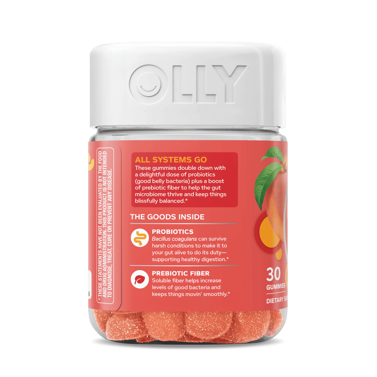 Probiotic + Prebiotic Image